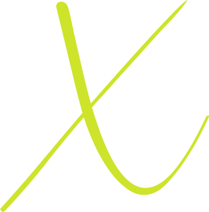 VikramX Logo